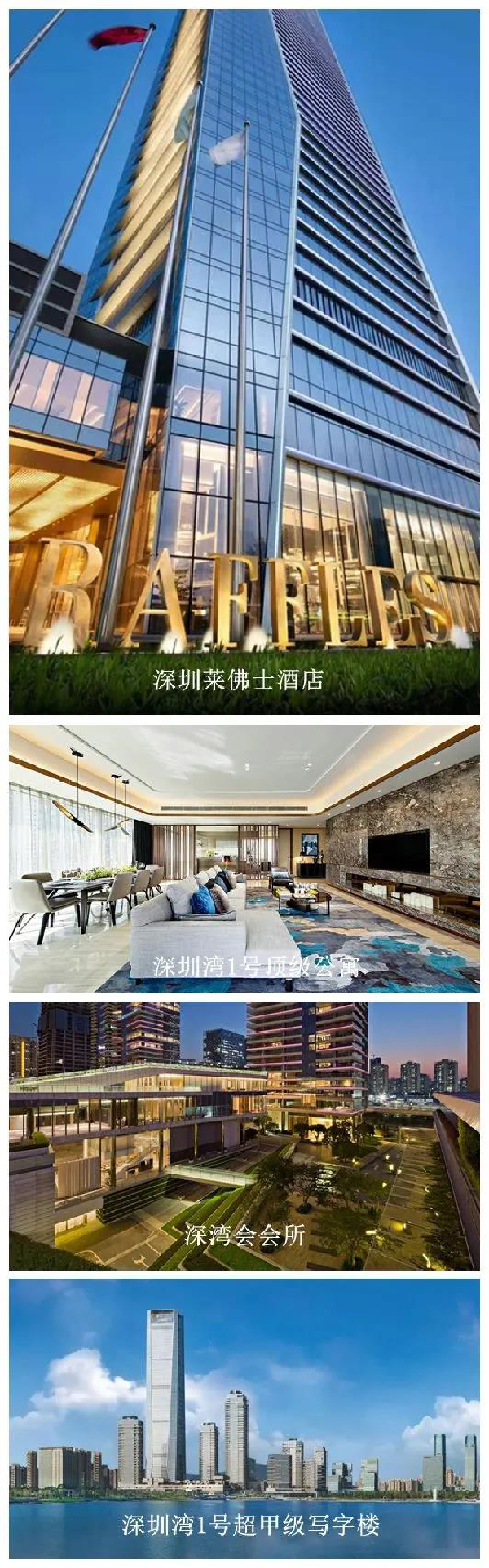 巅峰国际官网股份打造的深圳湾1号系列工程.jpg 巅峰国际官网股份打造的深圳湾1号系列工程.jpg